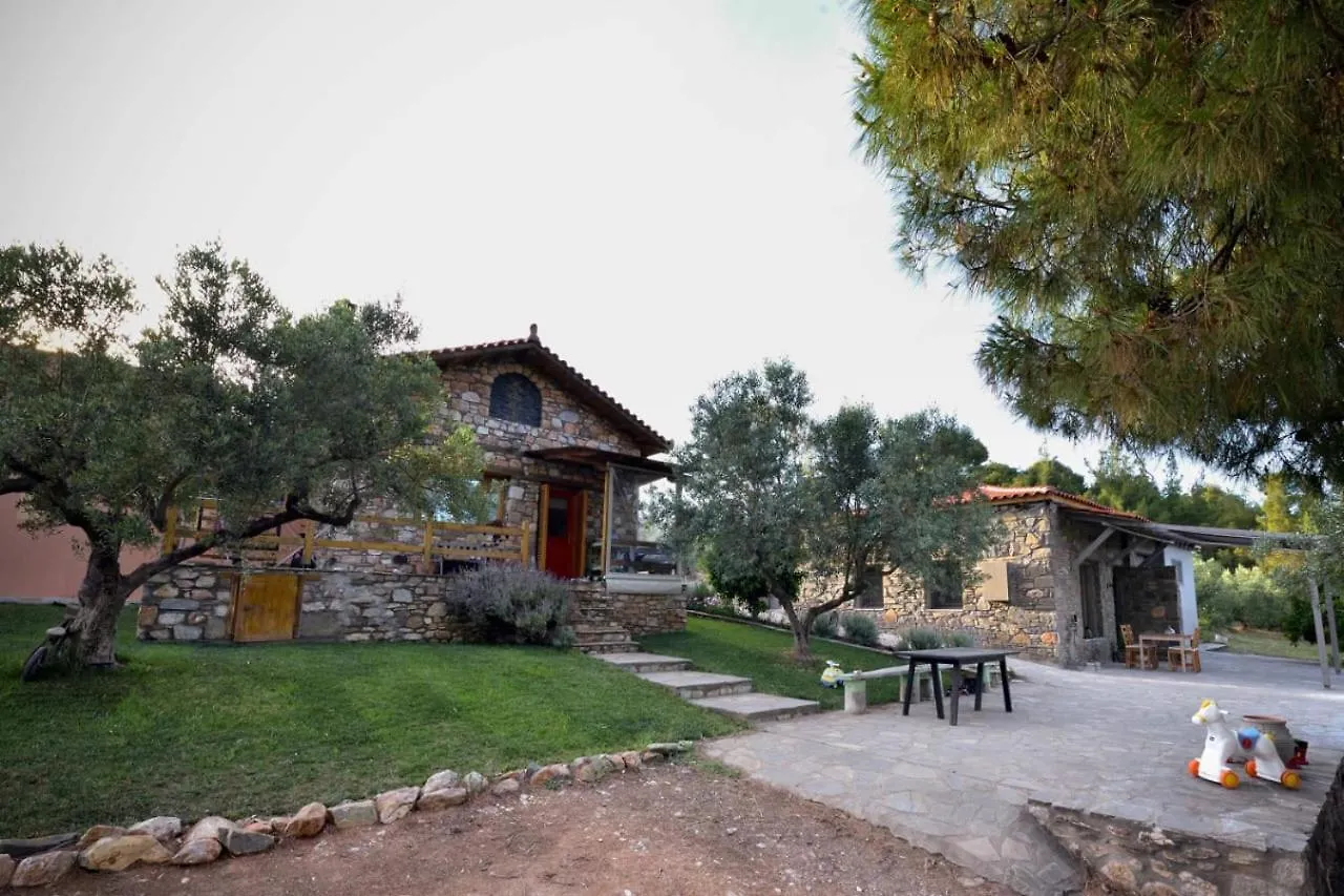 Casa vacanze Villa Kladi House Renovated 2023 Nikiti