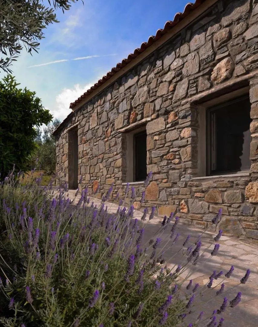 Villa Kladi House Renovated 2023 Nikiti